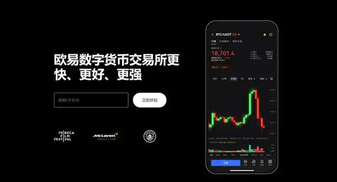 殴易平台展示图